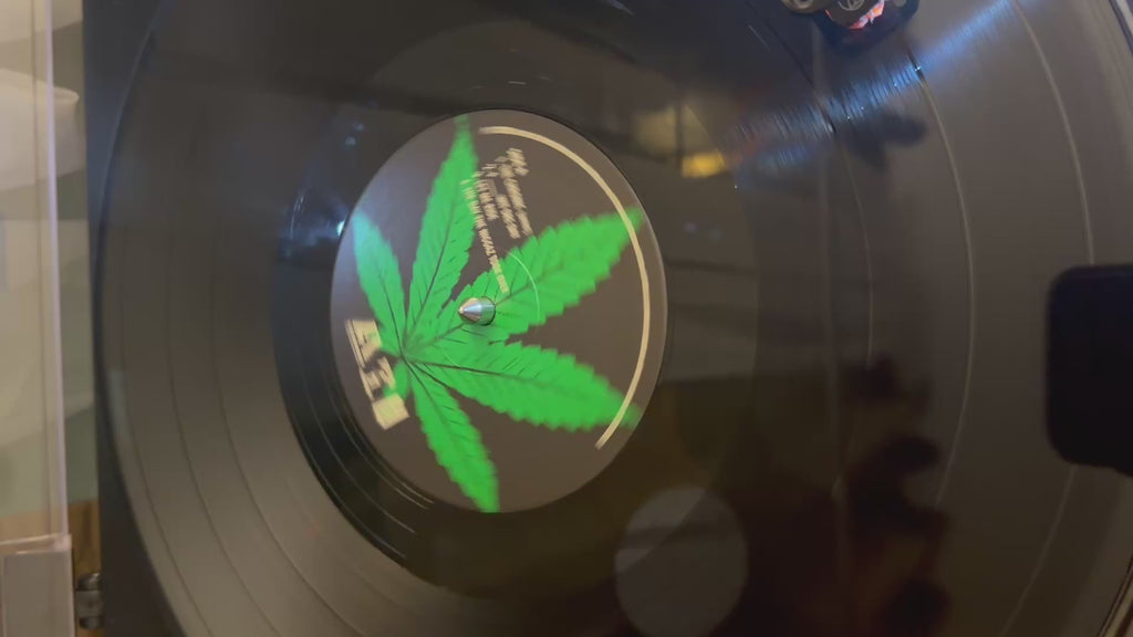Dr. Dre - The Chronic Instrumentals Vinyl LP